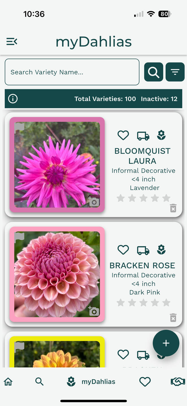 Dahlia Wizard Search Page