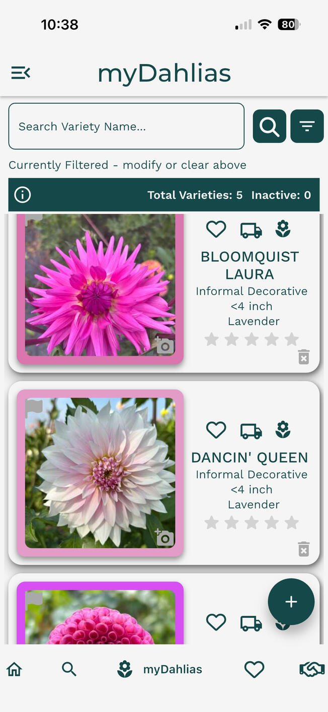 Dahlia Wizard Search Page