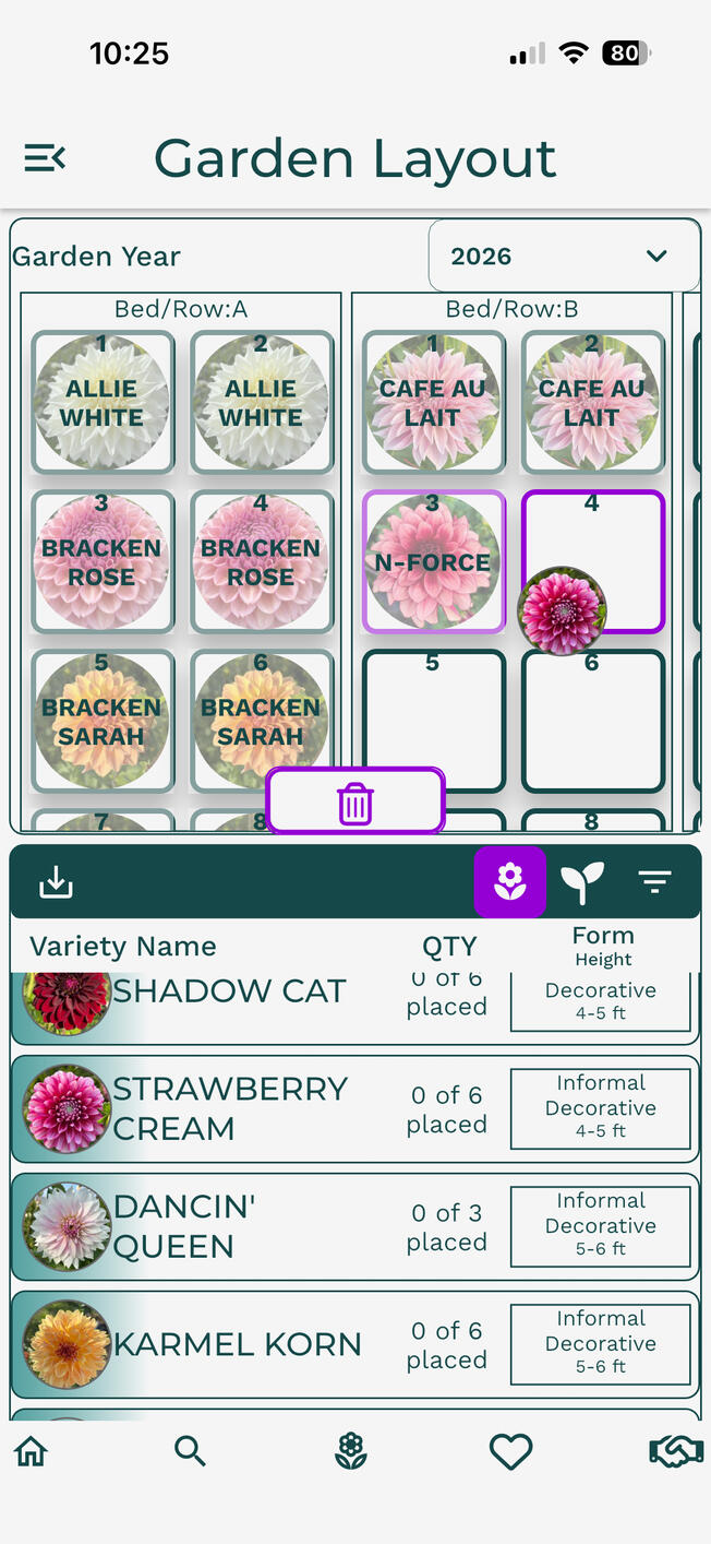 Dahlia Wizard Search Page