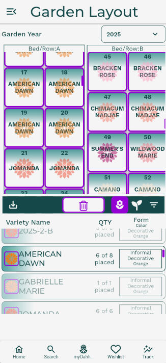 Dahlia Wizard Search Page