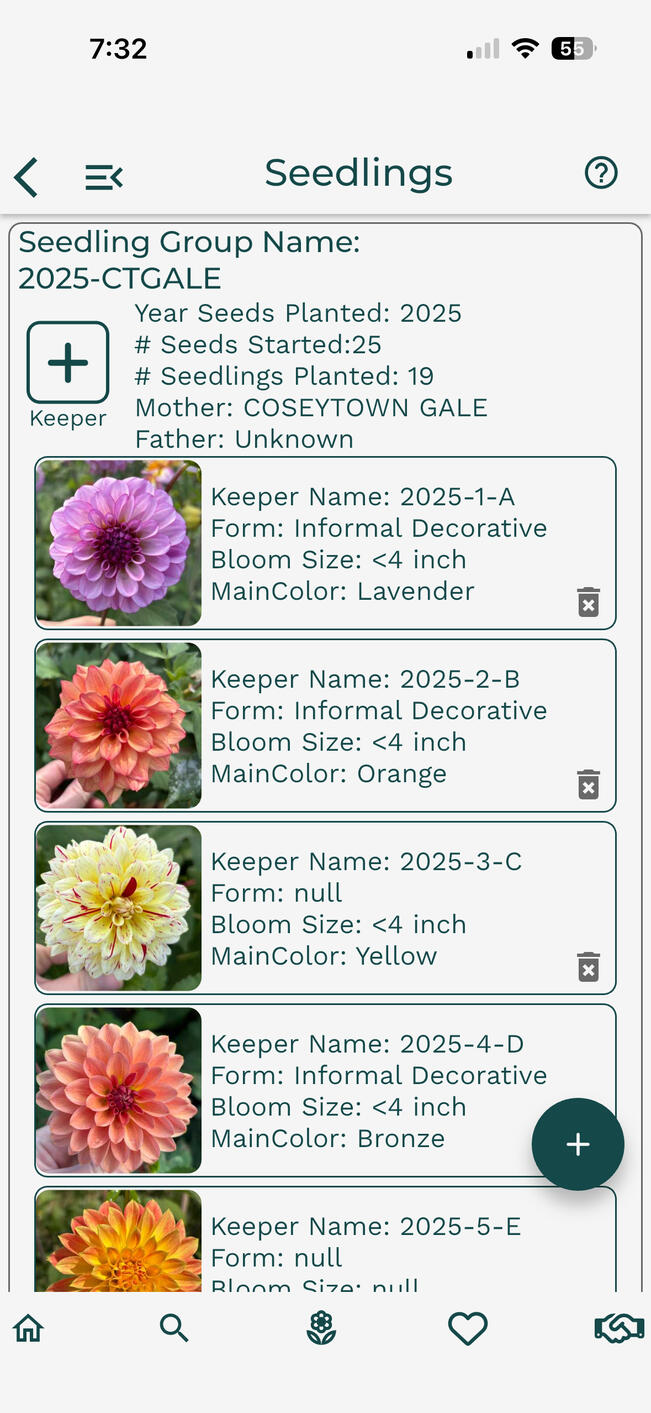 Dahlia Wizard Search Page