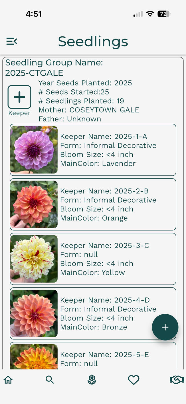 Dahlia Wizard Search Page